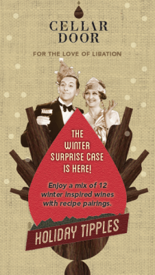 Winter Surprise Case